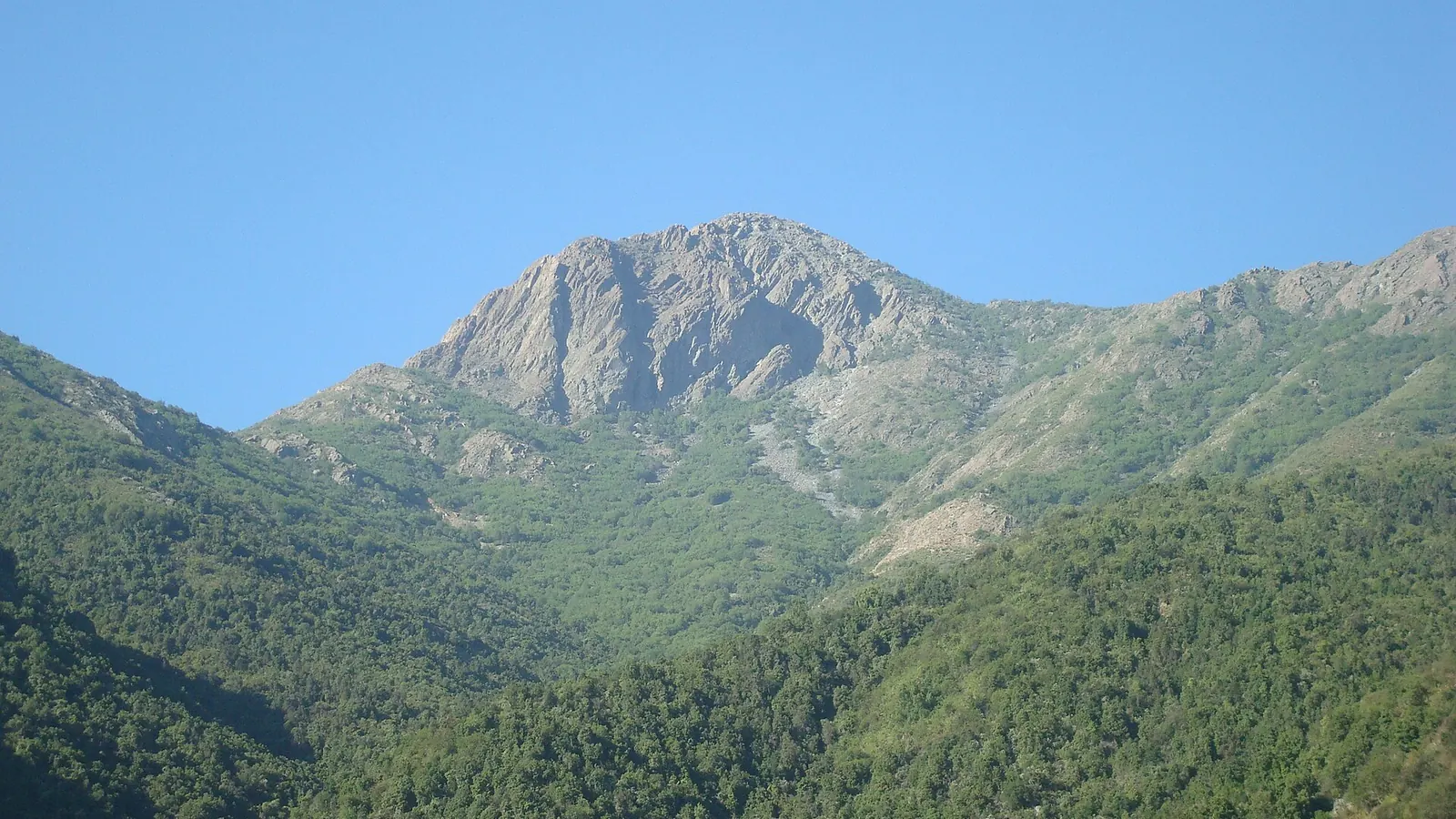 El cerro La Campana alzándose sobre el bosque nativo de la Cordillera de la Costa