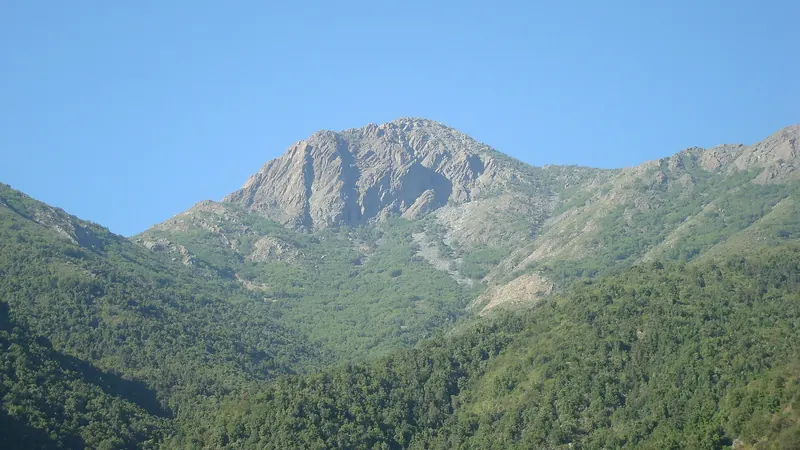 El cerro La Campana alzándose sobre el bosque nativo de la Cordillera de la Costa